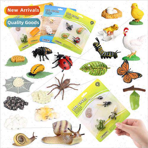 teaching aids simulation wild animal model rooster frog turt