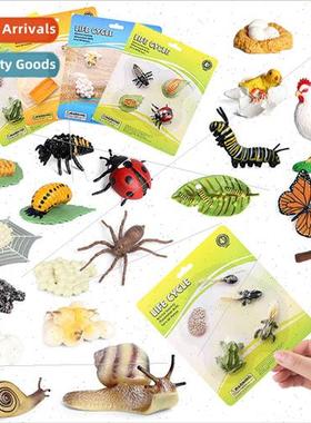 teaching aids simulation wild animal model rooster frog turt