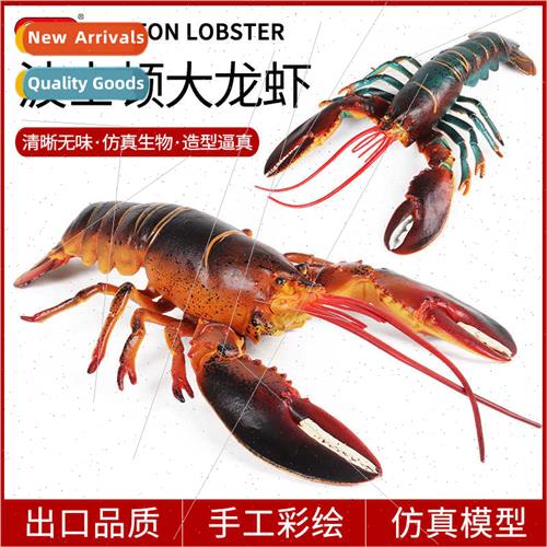 Lobster model toys solid marine large Boston lobster Austral