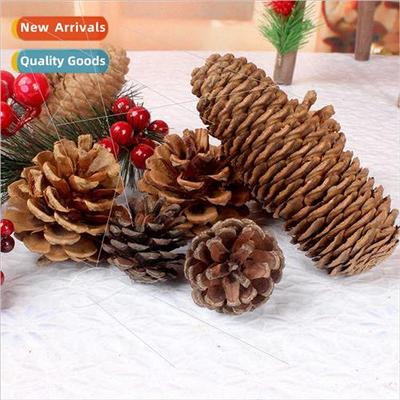 2-10cm pine cones Christmas decorations creative props dried