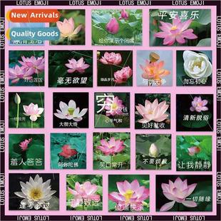 ssculpture funny emoticons waterproPVC decorative Lotus