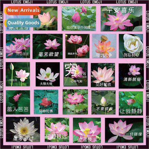 50 Lotus funny ssculpture emoticons waterproPVC decorative l