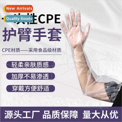 Disposable long arm gloves plastic cpe dishwashing dishes cl