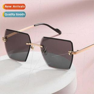 sunglasses hip cut set new 2021 square edge head Leopard