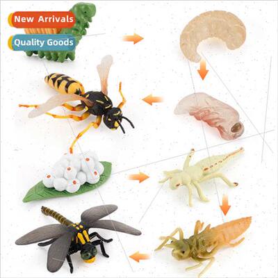 mulation wild insects animals dragonfly wasp model growth cy