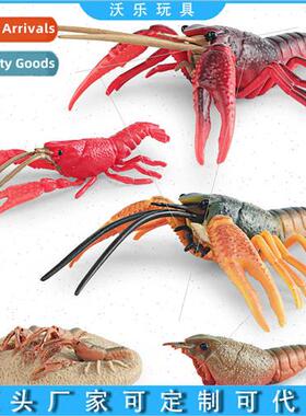 Lobster growth cycle model lobster growth change process dec