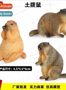 Children simulation wildlife model groundhog grass otter sno
