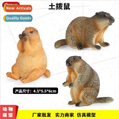 Children simulation wildlife model groundhog grass otter sno