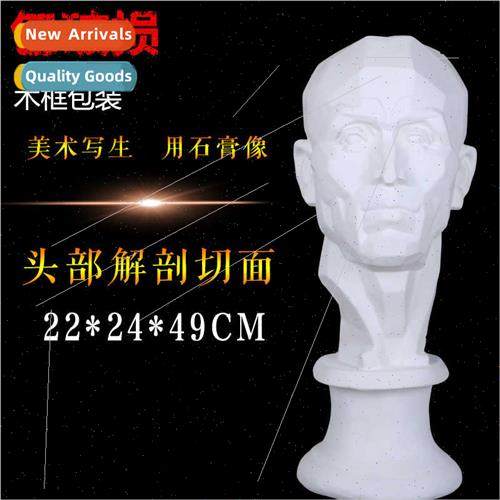 Decoupage head 3 plaster statue plaster equipment art sketch