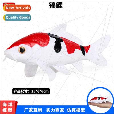 Children koi flower ridge fish freshwater fish ornamental fi