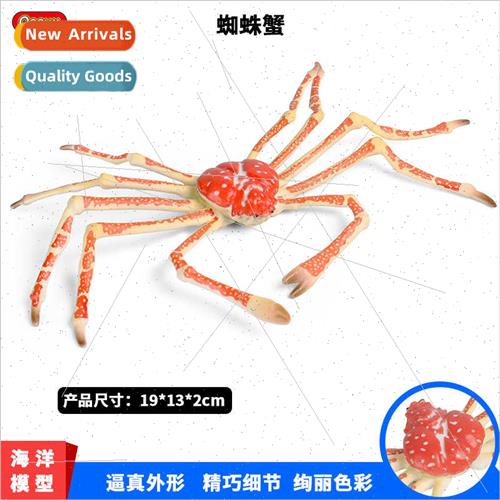 Toys simulation model static solid spider crab king crab cra