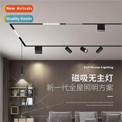 Recessed magnetic track 48V magnetic no main light hotel liv