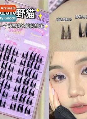 Lazy Pure Desire ttle Wildcat False Eyelashes Natural Thick