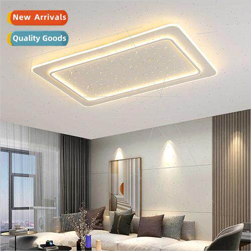 Scandinavian new modern atmosphere square ceiling light simp