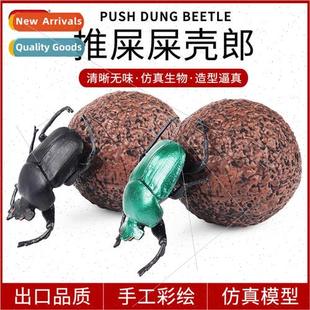 Insect Beetle Wildlife Dung Model Solid