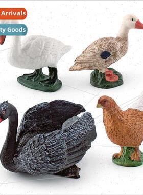 Wildlife solid model warthog swan duck hen black swan childr