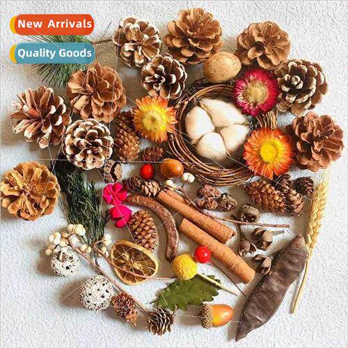 Pine cone wood chips leaves dried flowers dried fru combinat