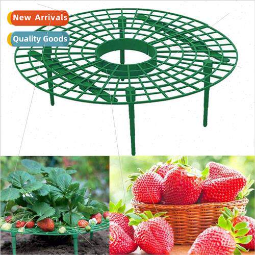 Gardening Stands Strawberry Planting Racks Balcony Pot Plant