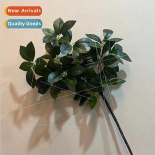 Tree Pine Landscaping Money Pin mulation Banyan Welcome