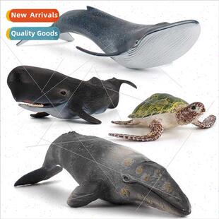 blue whale gray whale sperm whale sea turtle model toys stat