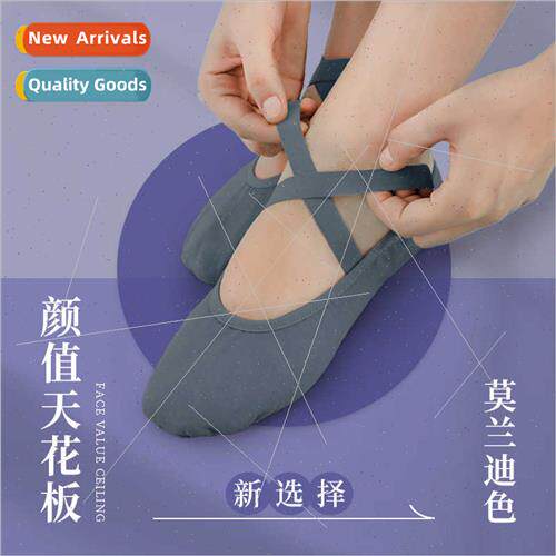 Dance Shoes Women Soft Bottom Practice Shoes Adults Cat Claw