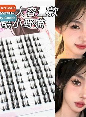 Wild ltle wildcat eyelashes pure desire thick natural manga