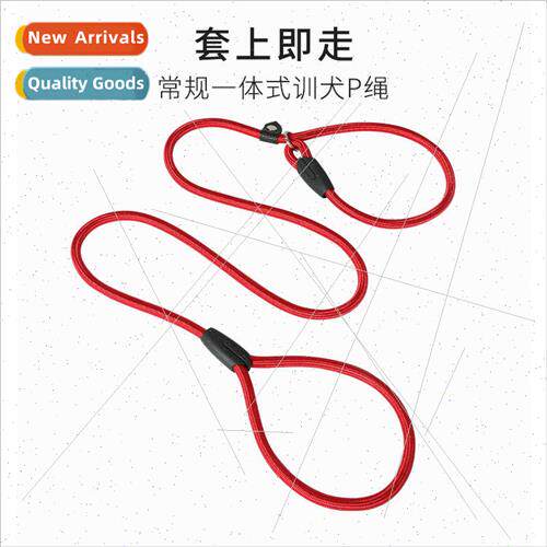 New dog leash explosion-propunch P chain dog walking leash a