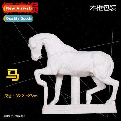 Anatomical horse plaster statue anatomical plaster statue ar
