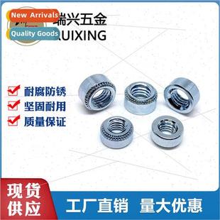nut screw M10 rivet galvanized