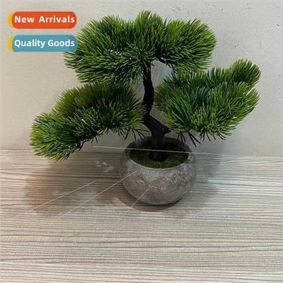 mulation beauty pine ornaments decorative indoor landscaping