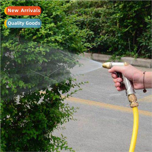 lver high-pressure car wash water gun head household car was