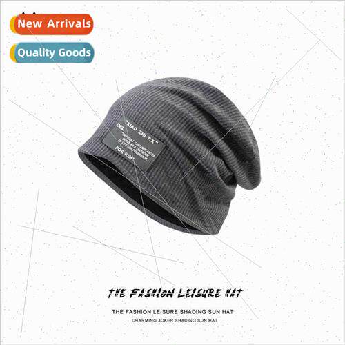 Fried Set Hat female spring summer versatile wool cap thin h