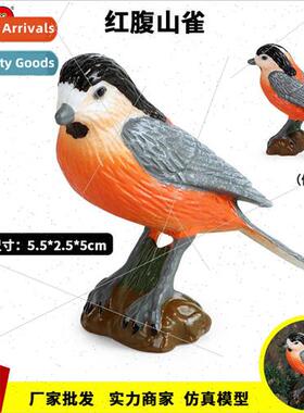 simulation animal birds wild model toys solid red-bellied ts