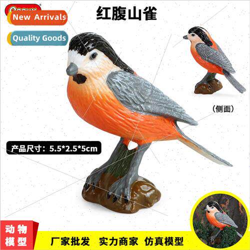 simulation animal birds wild model toys solid red-bellied ts