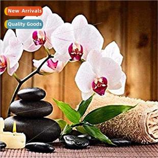 DIY Butterfly Orchid Cross mple New Full Handmade Stch