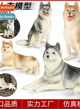 Erha model children toys solid pet animal dog husky Samoyed