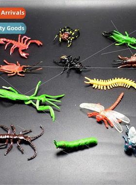 12 caterpillar spider centipede praying mantis crawling inse