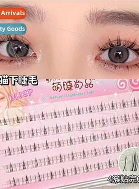 5 rows lazy ltle wildcat lower eyelashes transparent stems n