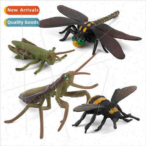 Bee dragonfly mantis grasshopper model toys适用children cogn