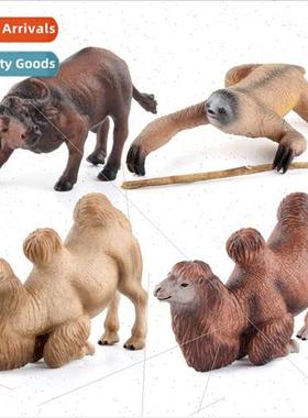 Wildlife Model Solid Desert Mongolian Bactrian Camel Buffalo