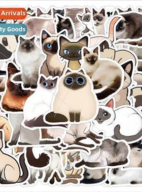 50 amese Cat Stickers Cute cat cat emoticon decorative drip