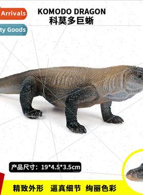 Solid static wildlife model children toys toucan komodo touc