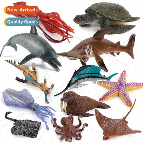 Turtle squid starfish model children educational cognive und