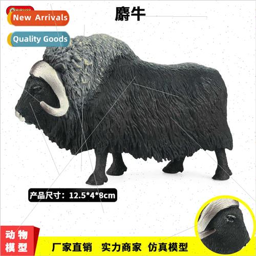 Children animal model ranch cattle musk ox Arctic musk ox bi