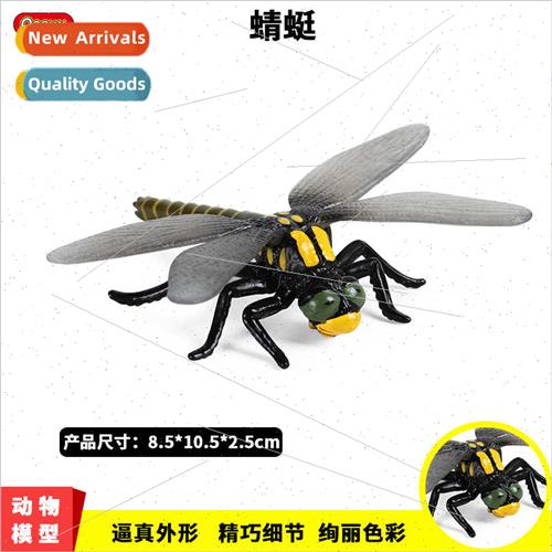 Animal insect model children static solid dragonfly plastic