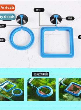 Peacock Fish Turtle Fish Tank Fish Food Floating Feeding Rin