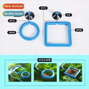 Tank Turtle Food Floating Rin Peacock Feeding Fish