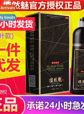 Phytolacca Leaf Natural Black Bubble One Hair Color Cream Bl