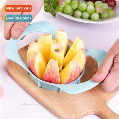 Handle Stainless Steel Apple Cutter Core Cutting Fru Divider