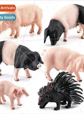 Farm Animal Female Domestic Pig Model Droopy Ear Boar Porcup